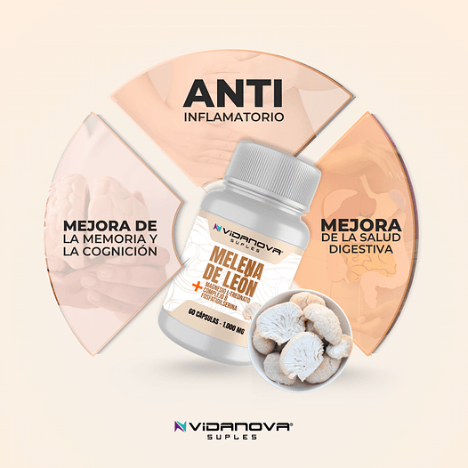 MELENA DE LEON FORTIFICADA